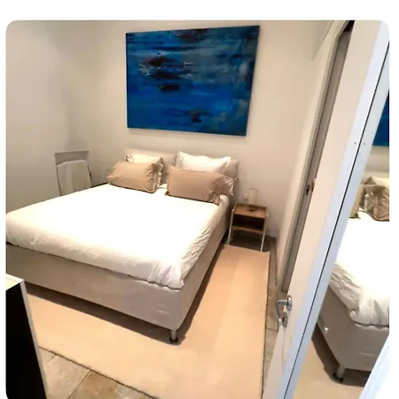 2 Pieces Mezzanine Et Grande Terrasse Tres Calme 30 Secondes De Monaco Appartement *